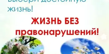 Встреча с инспектором