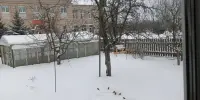 Экологическая акция "Поддержим птиц!"